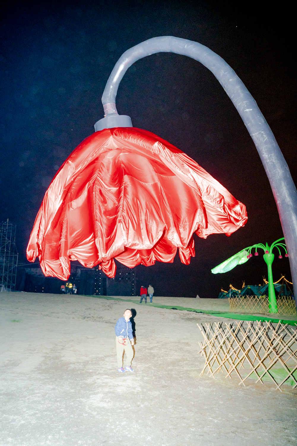 1767965868446665.jpeg original (79).jpeg